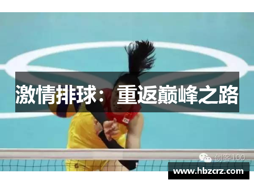 激情排球：重返巅峰之路